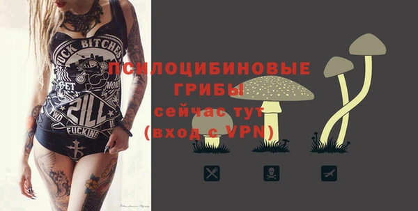 первитин Богданович