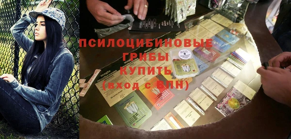первитин Богданович