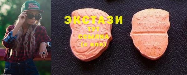 первитин Богданович