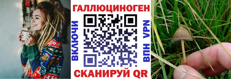 Галлюциногенные грибы GOLDEN TEACHER  купить наркоту  Плёс 
